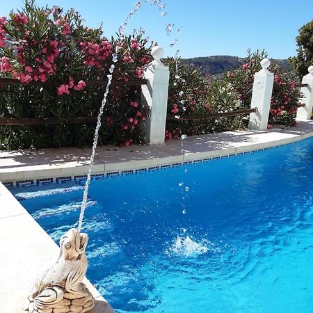 Apartamento Bella Vista Coín エクステリア 写真